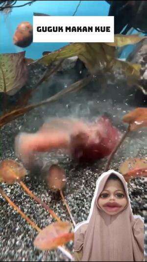 kok lucu #viral #RCTIPlus 