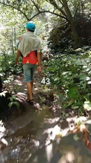 Suasana Bikin Puas
Serunya Tracking Coban Di Benjor Part 43
#jalan #benjor #setapak #coban #cinde #sanusi #cakra #srikandi #ngalam