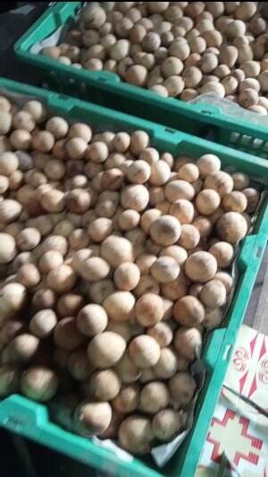 LANGSAT PONTI 
 #edisihariminggu
 #jualan
 #fypシ゚viral 