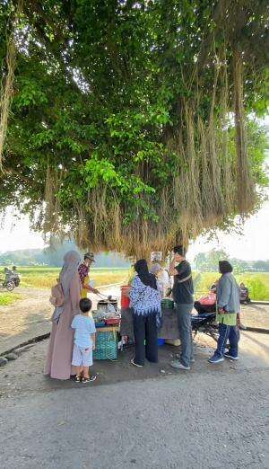 Jajan Sego Megono
 #segomegono #kuliner  #Jogja  #bantul  #sedayu  #jajananviral  #wisatakuliner  #reviewmakanan  #pagihari  #viral  #trendi