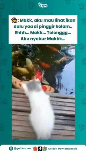 MAU IKAN