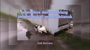 #sepertinya mereka sedang membicarakan sesuatu kisanak i