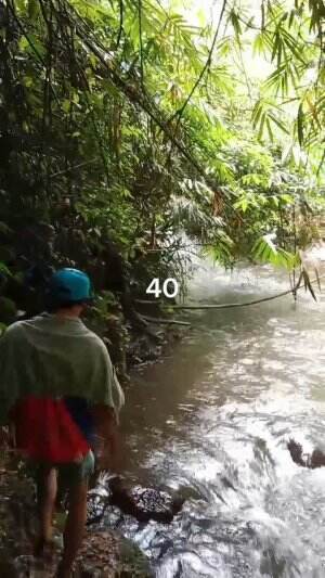 Nyebrang Maneh
Serunya Tracking Coban Di Benjor Part 40
#jalan #benjor #setapak #coban #cinde #sanusi #cakra #srikandi #ngalam