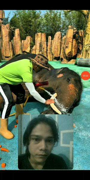 Hahh😱Gajah Ini Guysss😬
#fypシ゚viral #HOTrctiplus #reaction #shortplus #funny #semuaorang 