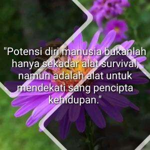 POTENSI DIRI MANUSIA BUKANLAG ALAT SURVIVAL !!!!
#motivasiislam #motivasi #Nasihat #alquran #hadits #introspeksi #hijrah

