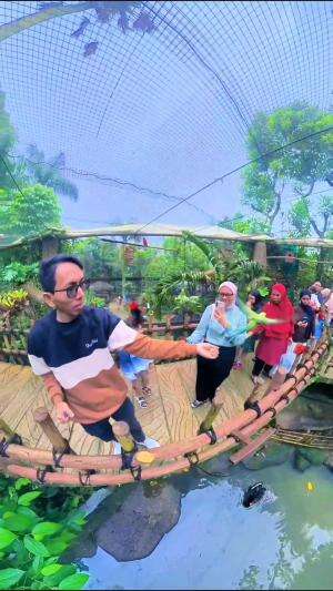 aviary mini  #garamdanmadu 