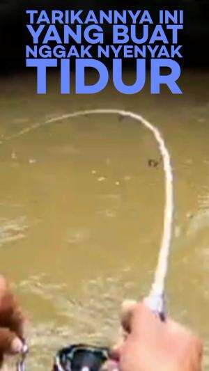 Sambarannya membuat reel menjerit..