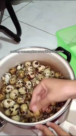 jadi kesukaan rebusss telur puyuh #edukasi #fyp #fypシ゚viral #trending #foryou #RCTIPlus #HOTrctiplus 