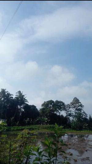 berkunjung ke sawah


 #Viral 
#fypシ゚viral 
