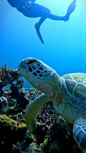 Motivasi untuk hari ini #laut 