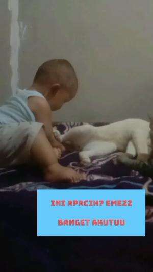 lucu banget !
 #lucubanget  #videolucu  #ngakak 