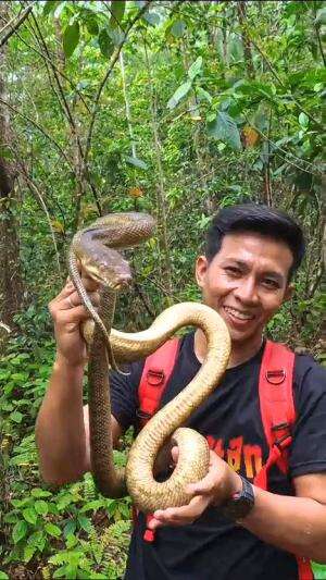 Spill si coklat dulu , Cek ✅
#shorts #shortplus #short 