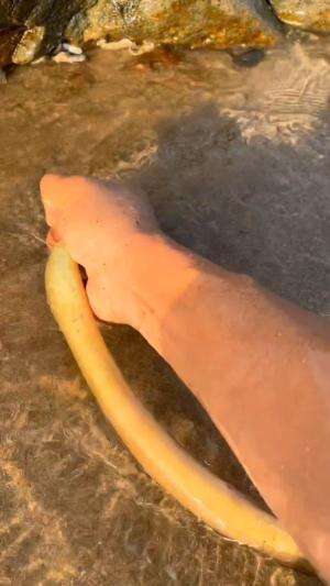 Orang ini berhasil menangkap belut
.
#laut
#belut
#rctiplus