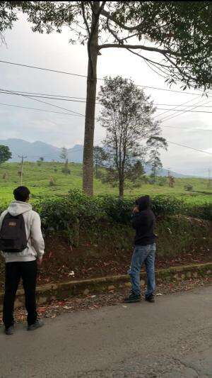 liburan kebun teh garut #traveling  #Garut  