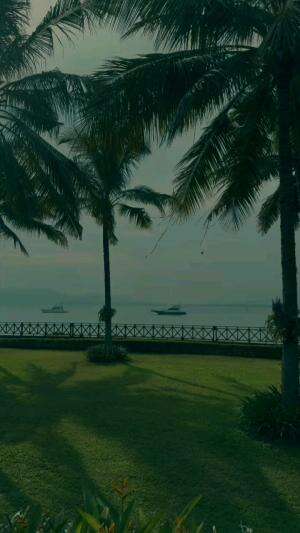 -Pentingnya bersyukur karena bersyukur adalah obat ketenangan jiwa-

#Quoteoftheday 