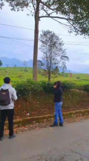 liburan di kebun teh garut  #garut #traveling 