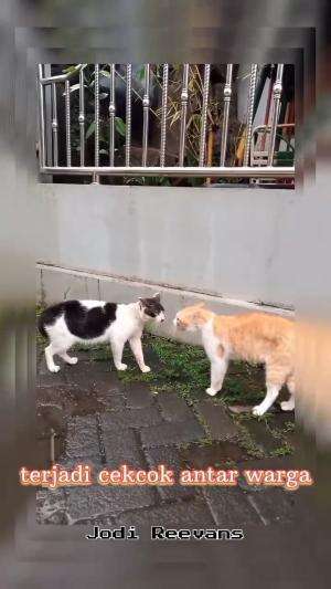 #terjadi cekcok antar warga
