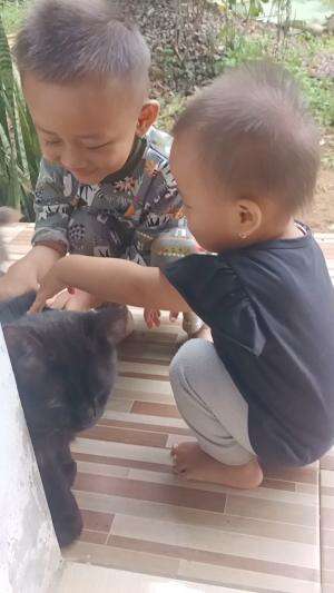  #fyp  #fypシ  #fypシ゚viral  #Viral  #tranding  #short  #shortplus  #RCTIPlus  #HOTrctiplus  #RCTIoke  #rcti  #HomeOfTalentRCTIPlus  #hotrcti 