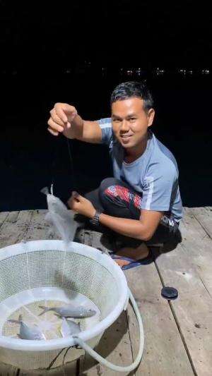 Mancing ikan lauk #mancingmania 