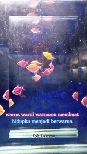 #warna warni warnamu membuat hidupku menjadi berwarna