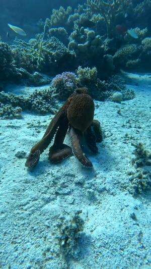 Motivasi untuk hari ini #motivasi 