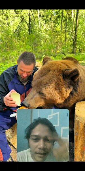 WOW😱 Beruang Ini Di Beri Makan KinderJoy Teman Teman 

#fypシ゚viral #shortplus #RCTIPlus #virall #reaction 