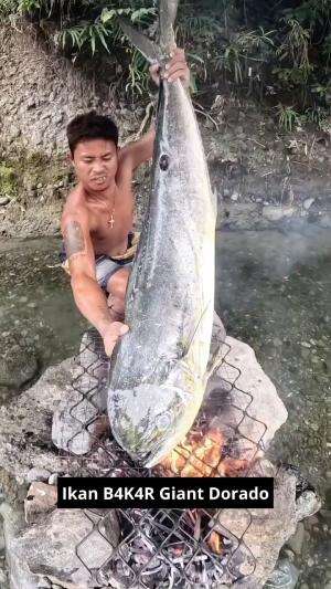 Ikan B4K4R Giant Dorado #ikanbakar #wisatakuliner #kuliner #lezat #RCTIPlus 