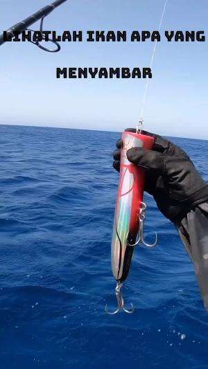 umpan besar ikannya pun lebih besar 
 #rcti  #RCTIPlus  #HOTrctiplus  #mancing  #casting 