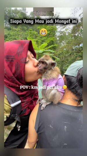hayo siapa yang mau juga seperti monyet ini 😍🤭
 #videolucu  #lucu 