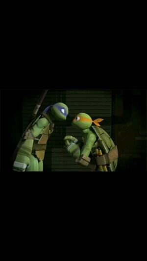 enima turtle