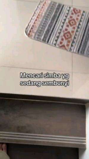 MENCARI SIMBA
