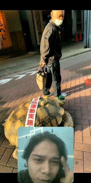 Waa😱Ikut Jalan Jalan Dong Kura Kura Nya 
#RCTIPlus #reaction #shortplus #fypシ゚viral #funny 