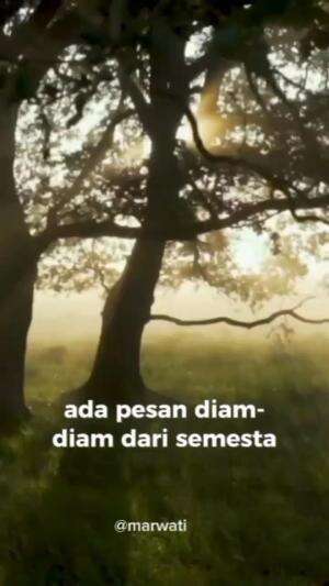 ada pesan diam diam dari semesta
 #morningsun #pesanalam #motivasipagi #quotes