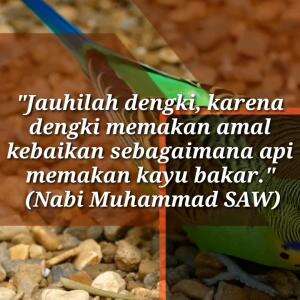 JAUHILAH DENGKI
KARENA DENGKI MEMAKAN AMAL KEBAIKAN 
#motivasiislam #nasihat #islam #motivasi #nasihatkehidupan #quotesislam 