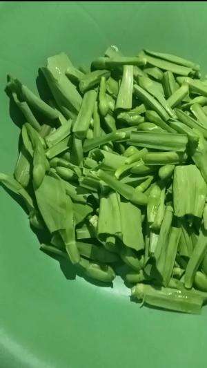 SAYURAN ORANG DAYAK 
 #sayurgenjer
 #sayurasamkalteng 
 #sayurbayam 