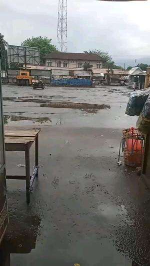 dizzy with lots of debt