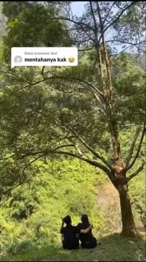 Lagi bikin konten, HP pasangan ini tiba-tiba di ambil seekor monyet dibawa setinggi 30 meter, dari atas dia bahkan bikin video cinematic.