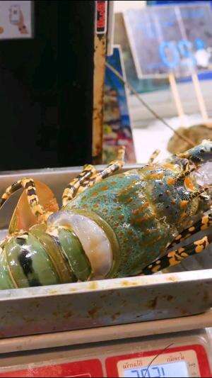 Makan Lobster Raksasa  #lobster  #makanan  #kuliner  #wisatakuliner 