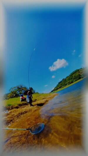 ikan yg tenggelam 
 #sobatambyarsengtauambyarRekomendasikanvideoini #fishing #Cara mancing #anglerliar #spotliaran #mancingmaniamantap 