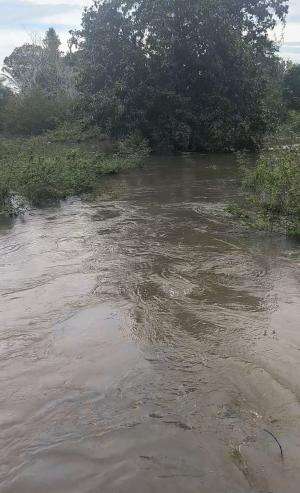kondisi sungai  rokan, desa Siarang-arang, kec. pujud, Kab, rokan hilir, riau.  #Sungai #banjir 