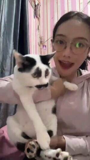  #RCTIPlus  #HomeOfTalentRCTIPlus  #Kucing 