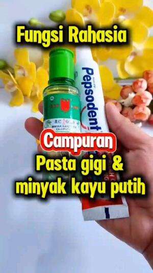 FUNGSI RAHASIA CAMPURAN PASTA GIGI & MINYAK KAYU PUTIH

#tipsandtrik #tips #trik #tutorial #kreatif #hiburan #inspirasi #inspiratif 