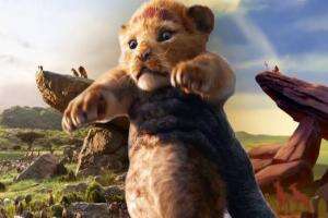 Kelahiran Simba 👑🦁