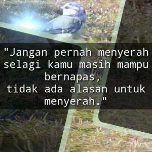 JANGAN PERNAH MENYERAH
#motivasiislam #nasihat #islam #motivasi #nasihatkehidupan #quotesislam