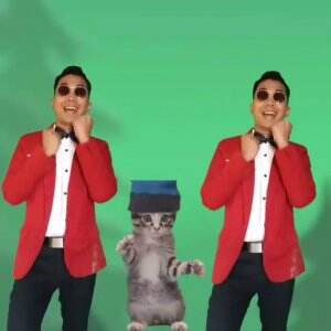 Malu Sama Kucing (aransemen dan nyanyi sendiri) 😁👍👍