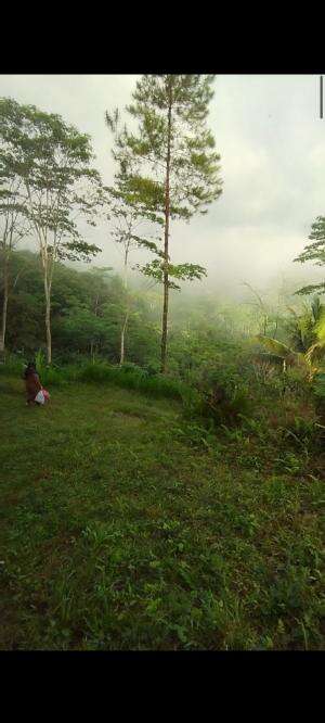  Jalan Jalan Pagi Hari