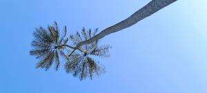 behind the scenes aku bikin konten cover lagu..hehehe..ga boleh malu2 ekwkek