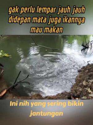 senam jantung dulu yuk  #mancing  #predator  #RCTIPlus  #HOTrctiplus  #RCTIoke 