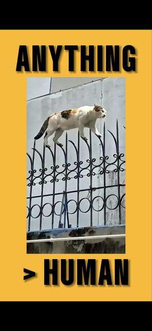 Keseharian kucing 😾

#cute #cat #funny #shorts #fyp #viral #hilarious #RCTIPlus #RCTIoke #kucing #videolucu #lucu 