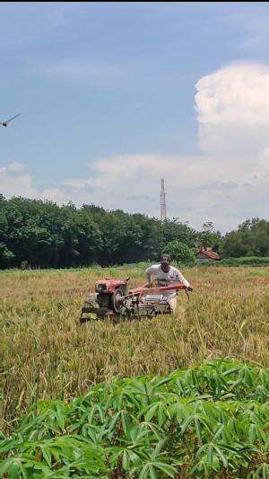 Laki - laki selalu ingin tau bagaimana dunia bekerja
 #petani mau ikut balap  #petani  #traktor balap 